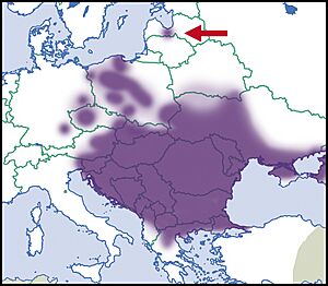 Cepaea-vindobonensis-map-eur-nm-moll
