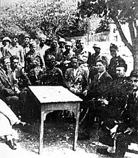 Chetniks, Ustasa, and Domobrani