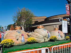 Circleville Pumpkin Show 02