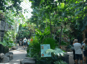 Denver Zoo's Tropical Discovery