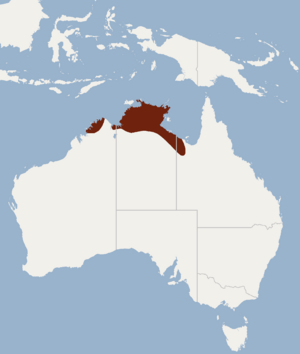 Distribution of Nyctophilus walkeri.png