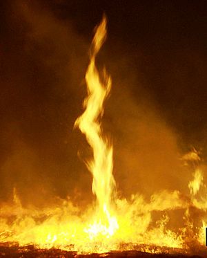 Fire whirl (FWS) crop.jpg