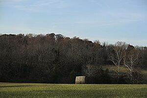 Georgetownhaybale