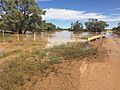 Georgina River flooding near Bedourie, 2016