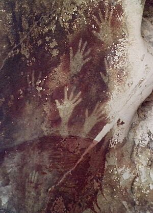 Hands in Pettakere Cave detail