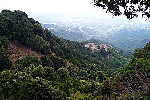 Haute-corse-paysage-med