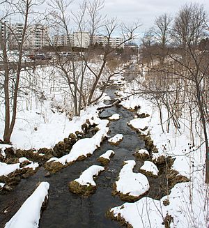 Headwaters - Euclid Creek