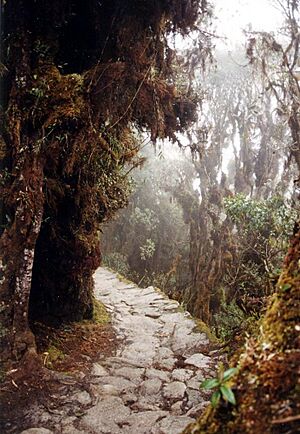 Incatrail in Peru