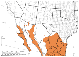 L76 Map 107 Parkinsonia aculeata.png