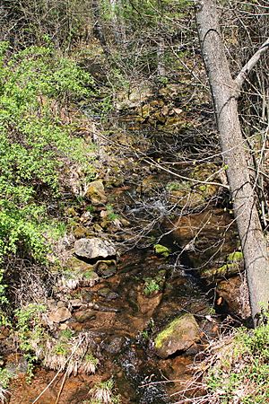 Lick Run looking upstream