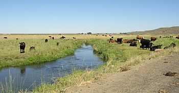 Lower-Crab-Creek-above-red-coulee-July.jpg