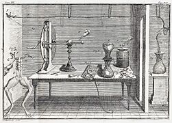 Luigi Galvani Experiment