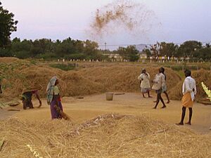 Madurai Dalit village 2