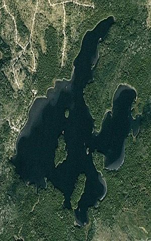 Mcarthur lake space