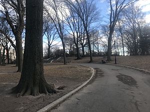 Mount Prospect Park - January 5th 2020