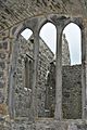 Moyne Abbey 0276