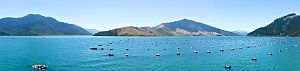 New Zealand Mussel farm-142523