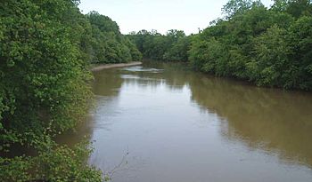 Obion River.jpg