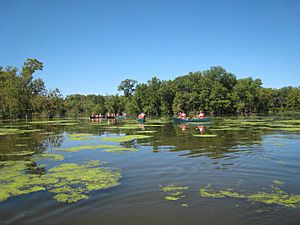 Paddling the Mississippi River (6972322139)