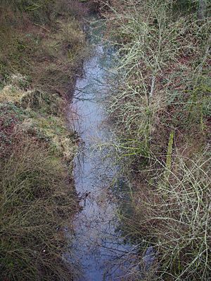 Palmer Creek portrait - Dayton, Oregon.JPG