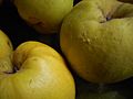 Quinces skin closeup