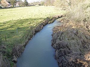 River Ise, Geddington.jpg