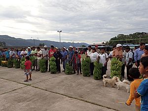 Salvacion banana fair.jpg