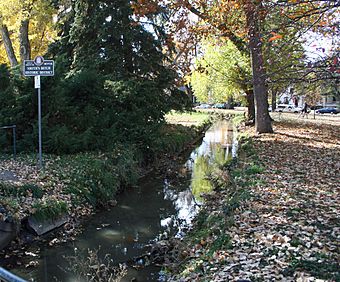 Smith'sDitch.JPG