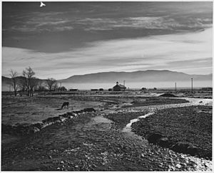 Taos County, New Mexico. The Rio Pueblo de Taos - mist in Taos Valley in the a.m. - NARA - 521818