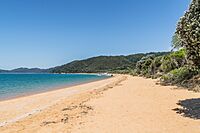 Totaranui Beach 01.jpg