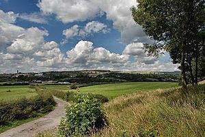 View towards Ashworth Moor - geograph.org.uk - 1528988