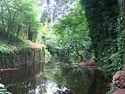 Water of Leith above Dean Village