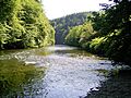 Wupper bei Wupperbrücke Wiesenkotten 03 ies