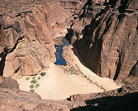 24 Kamele ziehen zur Wasserstelle im Ennedi-Gebirge im Tschad