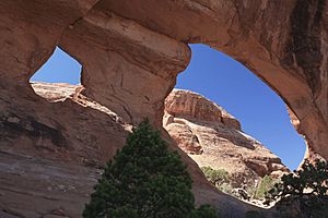 A279, Arches National Park, Partition Arch, Utah, USA, 2008