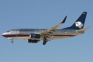 Aeromexico Boeing 737-700 Airwim-1