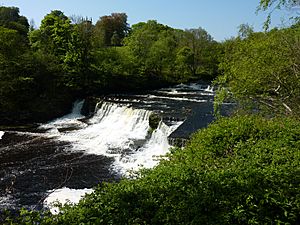 Aysgarth Middle Force