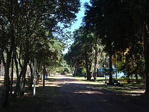 Balneario Zagarzazú.jpg