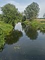 Blackwater and Chelmer canal