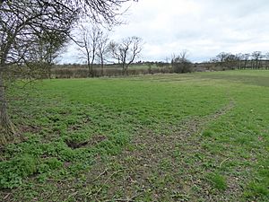 Bugbrooke Meadow nature reserve 2.jpg