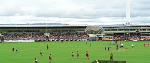 Carrara stadium