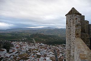 CastilloOlvera