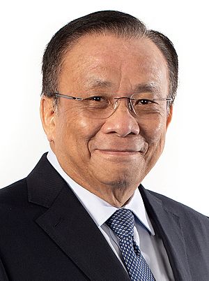 Chairman Bersamin (cropped).jpg