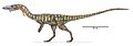 Coelophysis Jeff Martz