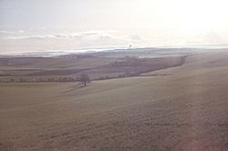 Dorset downs