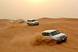 Dune bashing, Dubai, 2007 (08)