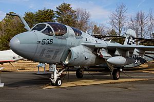 EA-6B Pax River Museum Front View 2