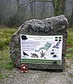 Entrance to Golitha Woods - geograph.org.uk - 6061