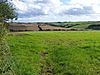 Fields Near Tregony - geograph.org.uk - 1477977.jpg