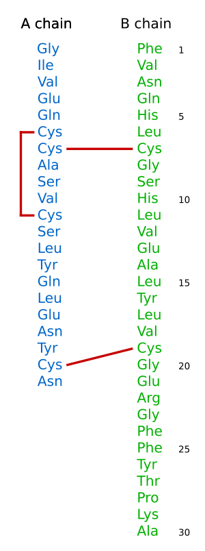 Insulin seq vertical